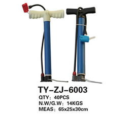 Pump TY-ZJ-6003